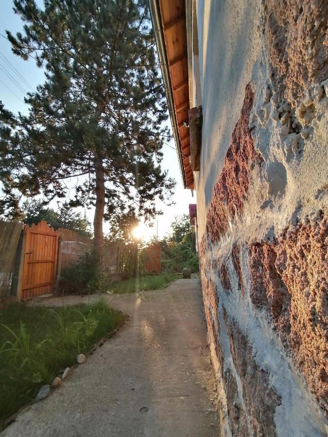 Ижата - Топлина И Уют Borovitsa Esterno foto