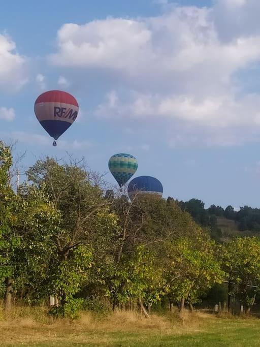 Ижата - Топлина И Уют Borovitsa Esterno foto