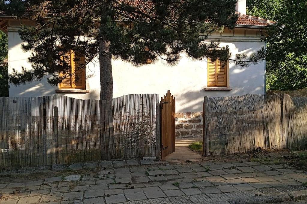 Ижата - Топлина И Уют Borovitsa Esterno foto