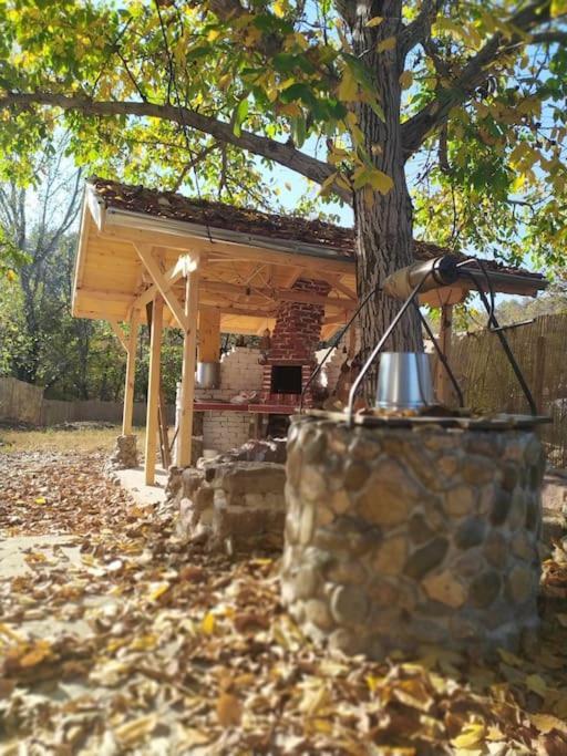 Ижата - Топлина И Уют Borovitsa Esterno foto